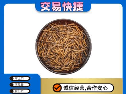 周口鹿邑县高价回收散虫草
